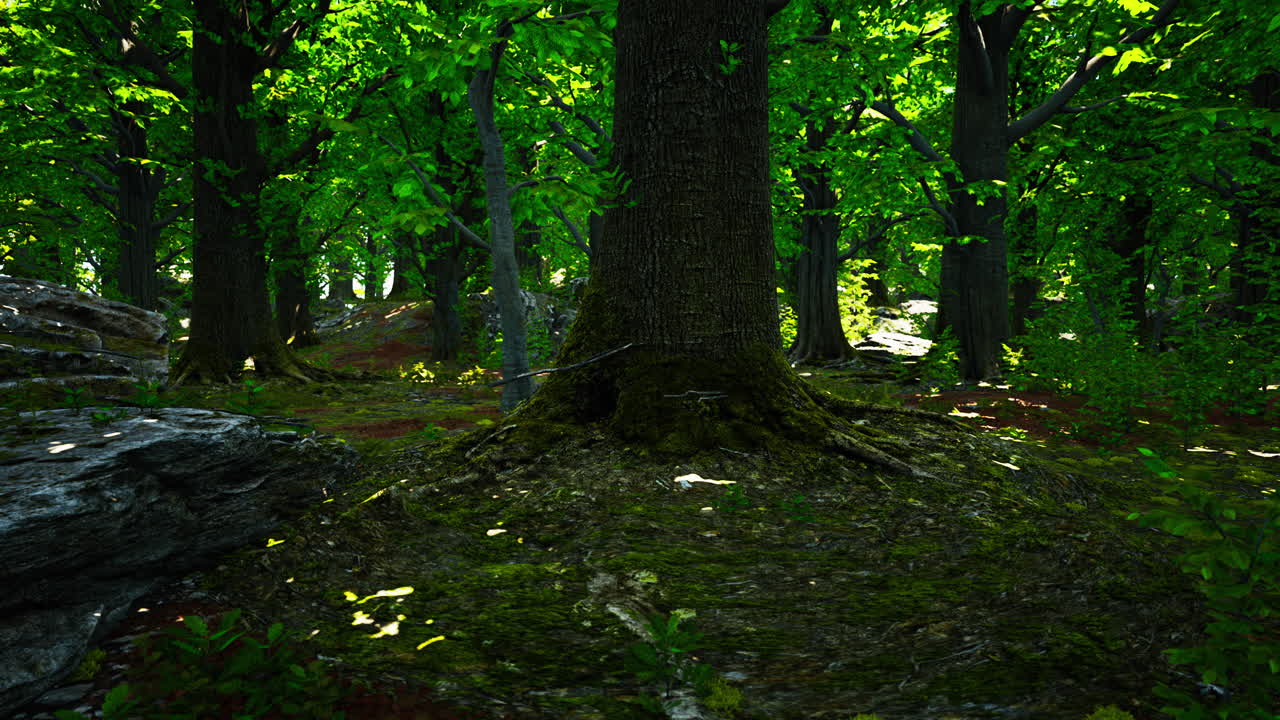 la luz del sol se filtra a través del frondoso dosel del bosque