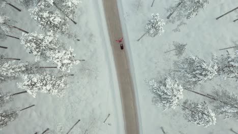 outdoor skating in nature during cold winter