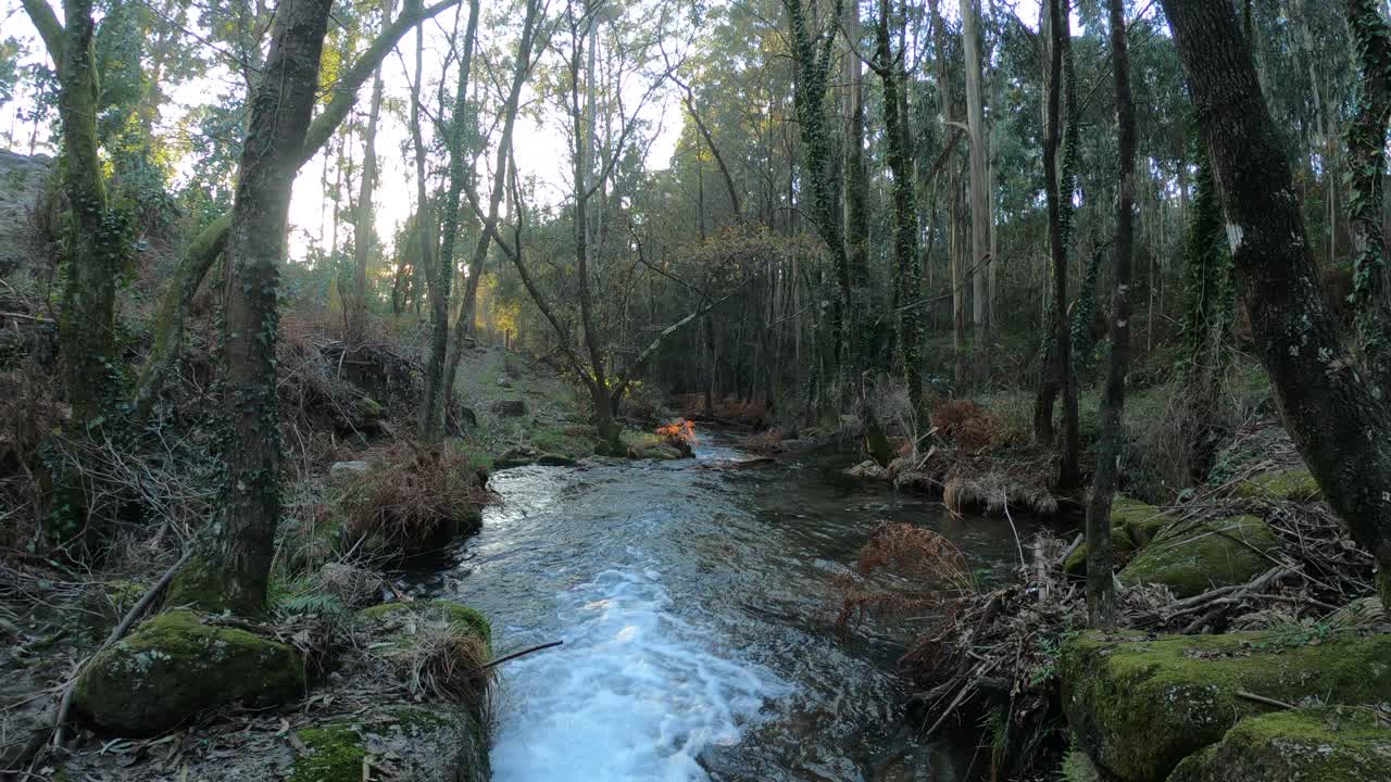 Vandløb i en naturpark