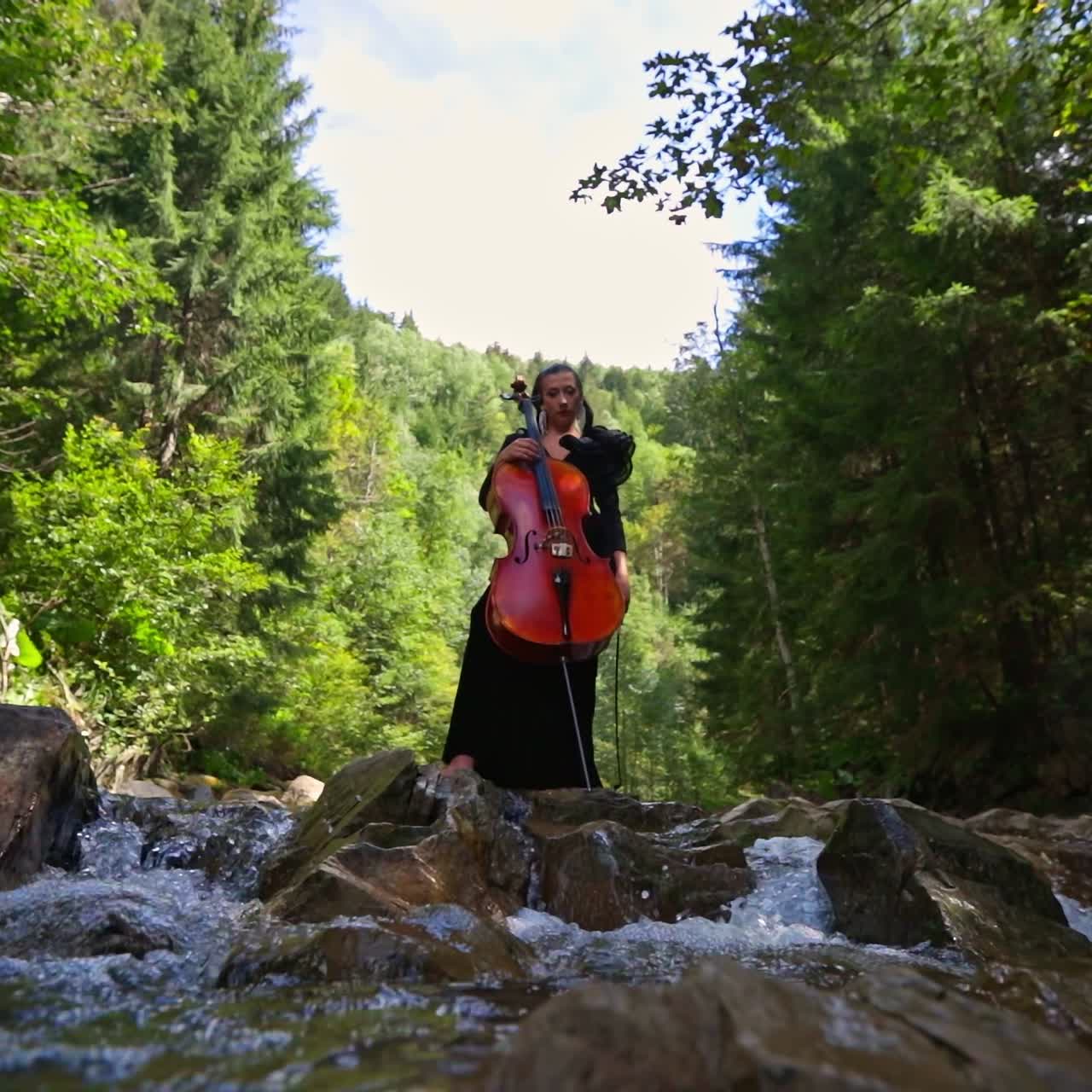 Musician woman plays cello on nature background. Green trees, mountain river and big rocks