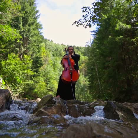 musician woman plays cello on nature background. green trees, mountain river and big rocks