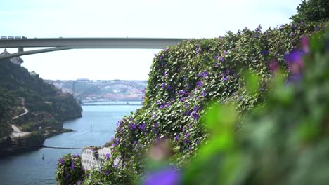 river side view in porto