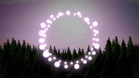 luces de hadas decorativas rosadas brillantes contra la silueta de los árboles y el cielo nocturno