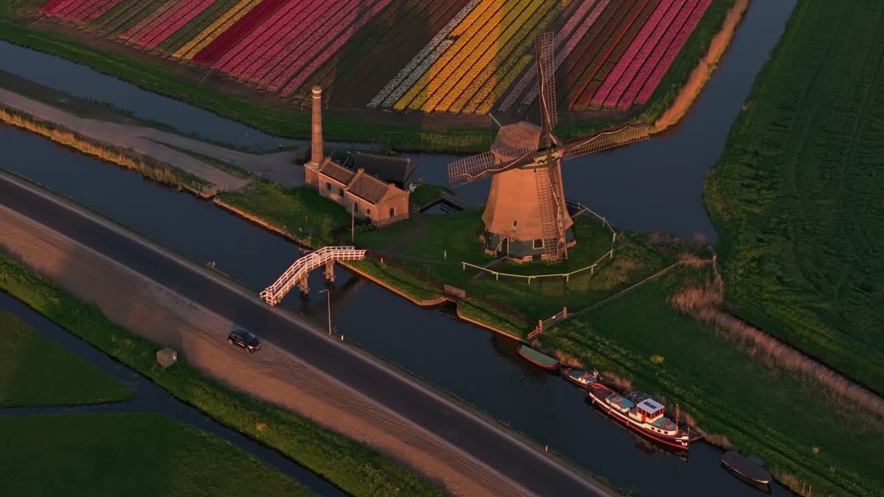 Vista aerea di un mulino a vento e tulipani in fiore che costeggiano un canale illuminato dal tramonto, Olanda