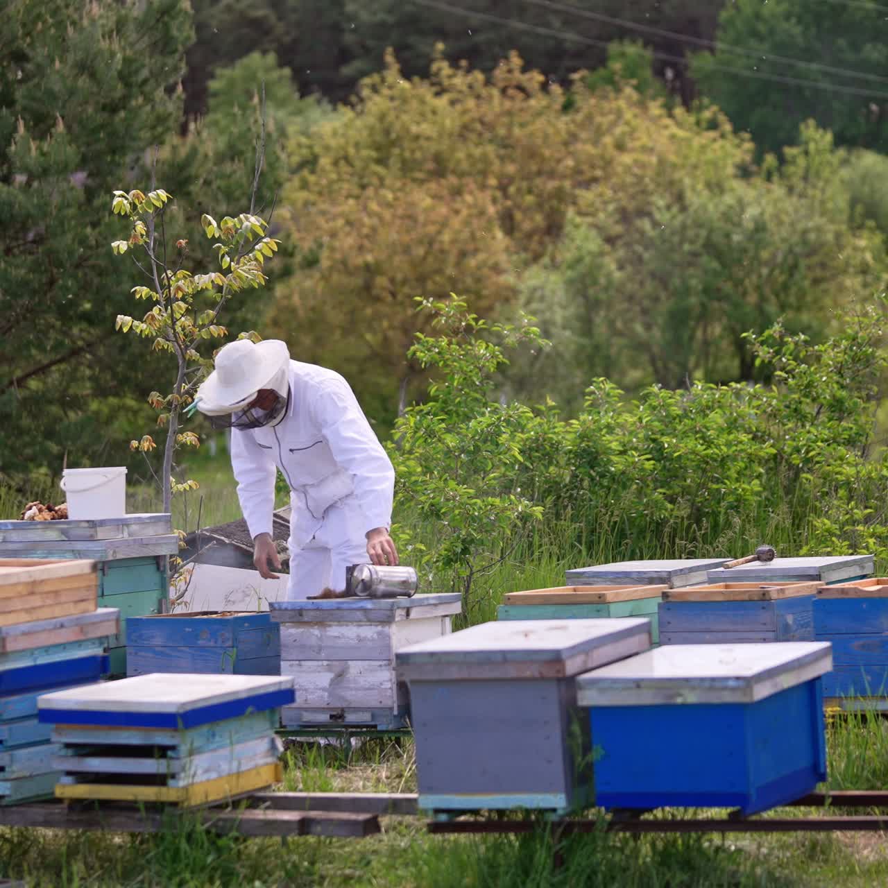 Apicoltore indossa un cappello protettivo. Apicoltore laborioso controlla la sua azienda agricola. Sfondo naturale