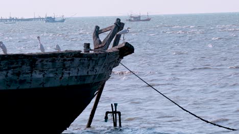 una garza en un barco, las olas en el fondo