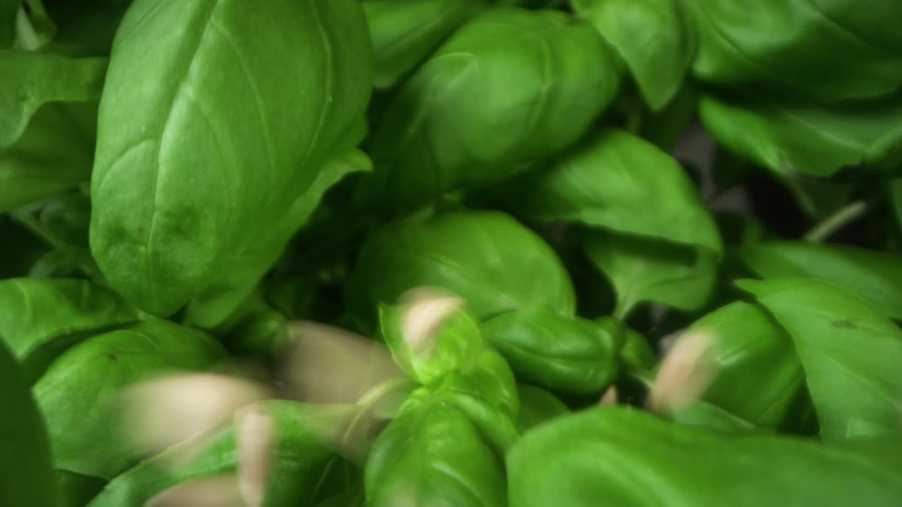 la albahaca se salpica con nueces de pino y se vierte con aceite