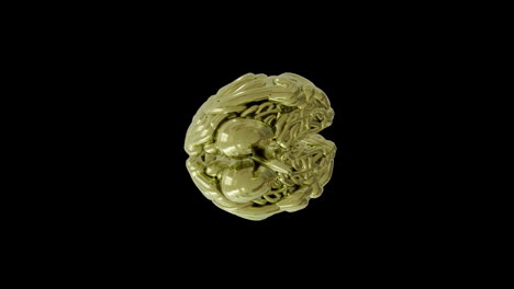 animation of yellow human brain spinning on black background