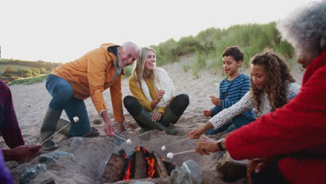 multi-generation family toasting marshmallows around fire on winter beach vacation