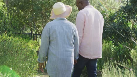 Back-view-of-african-american-senior-couple-walking-outdoors