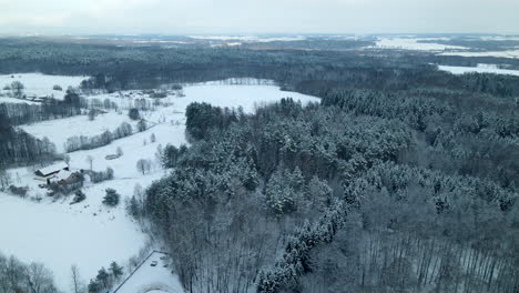 Vista-Panorámica-De-Un-Bosque-Peludo-Cerca-Del-Pueblo-Nevado-En-Pieszkowo,-Polonia