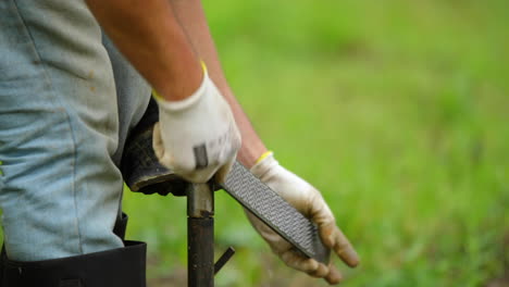 Horse-hoof-and-its-manual-adjustment-and-grinding-file-treatment