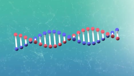 Animación-De-La-Estructura-Del-ADN-Con-Puntos-De-Conexión-En-Segundo-Plano,-Vídeo-En-Bucle