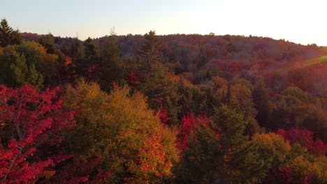 Flying-like-a-bird-during-sunrise-over-a-colorful-autumn-forest