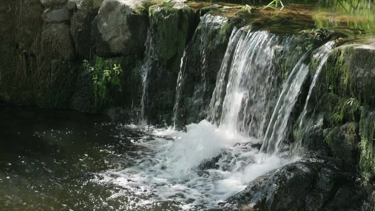 Et nærbilde av en liten foss som fosser over mosekledde steiner, omgitt av naturlig vegetasjon. Perfekt for rolige og naturfokuserte scener. Sakte film.