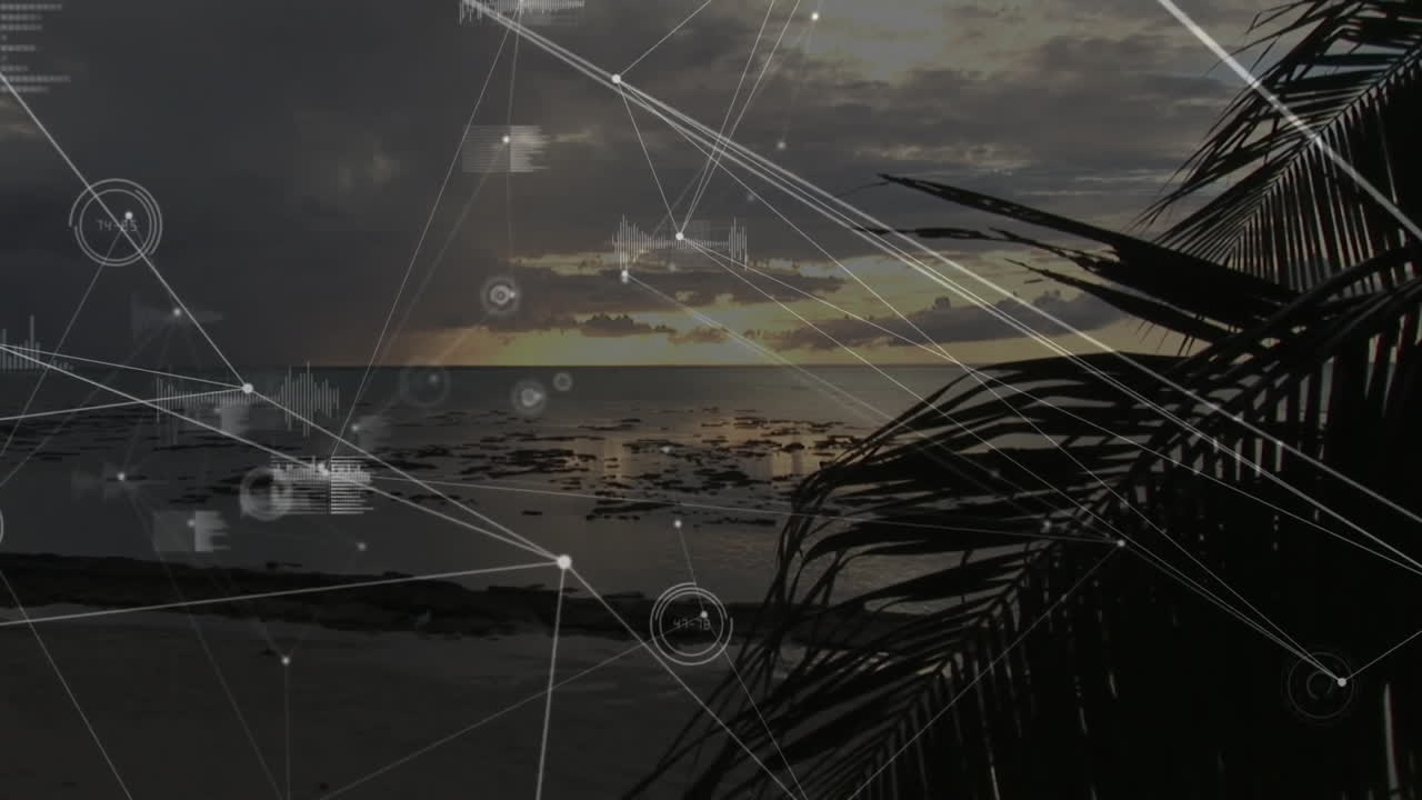 Network of connections and data processing animation over tropical beach at sunset