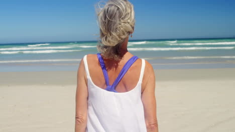 animación de hacerlo por ellos sobre la vista de atrás de la mujer caucásica en la playa