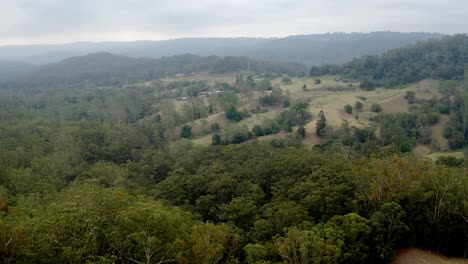 Vista-Aérea-Ascendente-Del-Bosque-De-Matorral-Australiano-En-La-Costa-Del-Sol,-Queensland