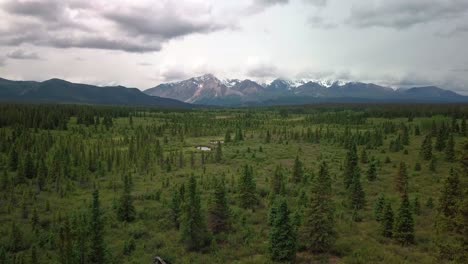 spectacular calm summer scene above yukon green forest and vegetation towards scenic view of mount carines mountain countryside range in kluane national park, canada, overhead aerial approach