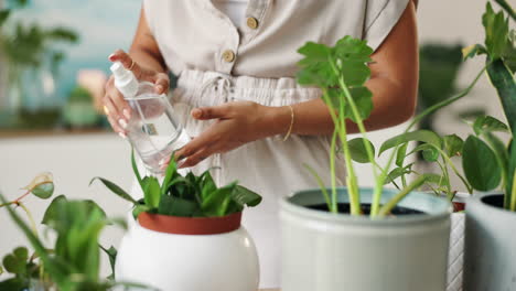 woman watering houseplants