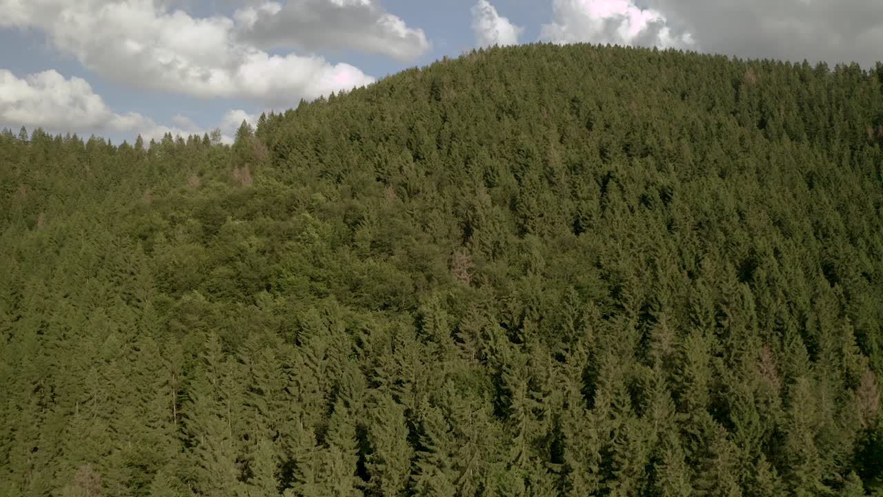 Veduta aerea con drone del Parco Nazionale dell'Harz in Bassa Sassonia, Germania, Europa