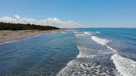 волны моря плещутся на песчаном пляже красивого морского побережья с соснами в солнечный летний день в албании