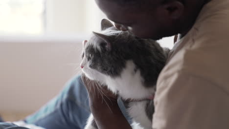 pet owner with his cat