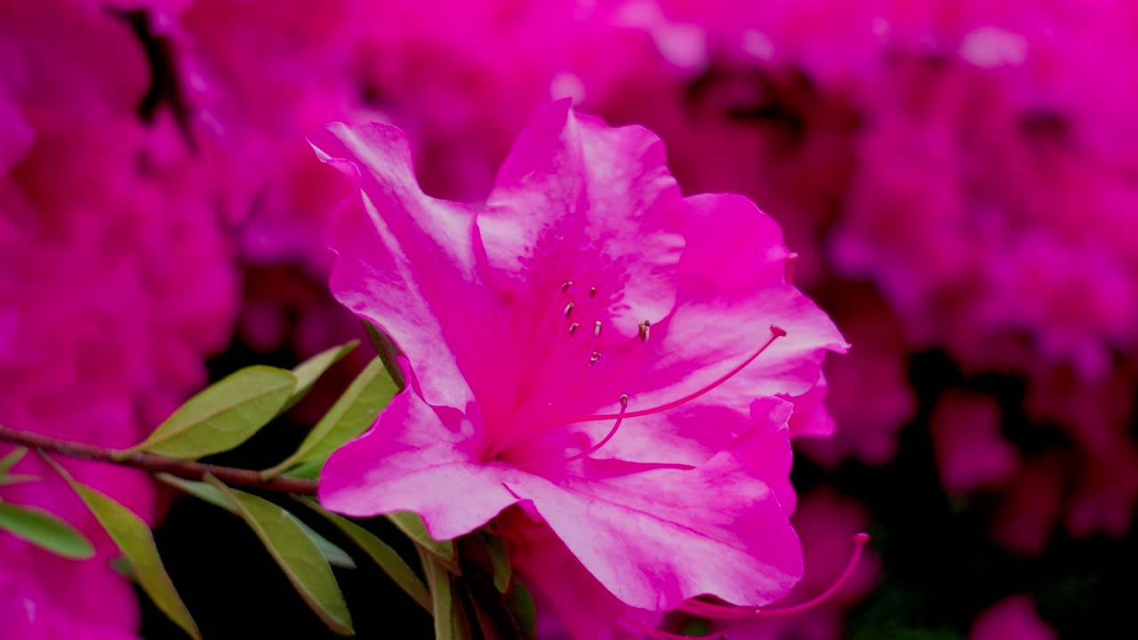 la mejor vista en yokohama