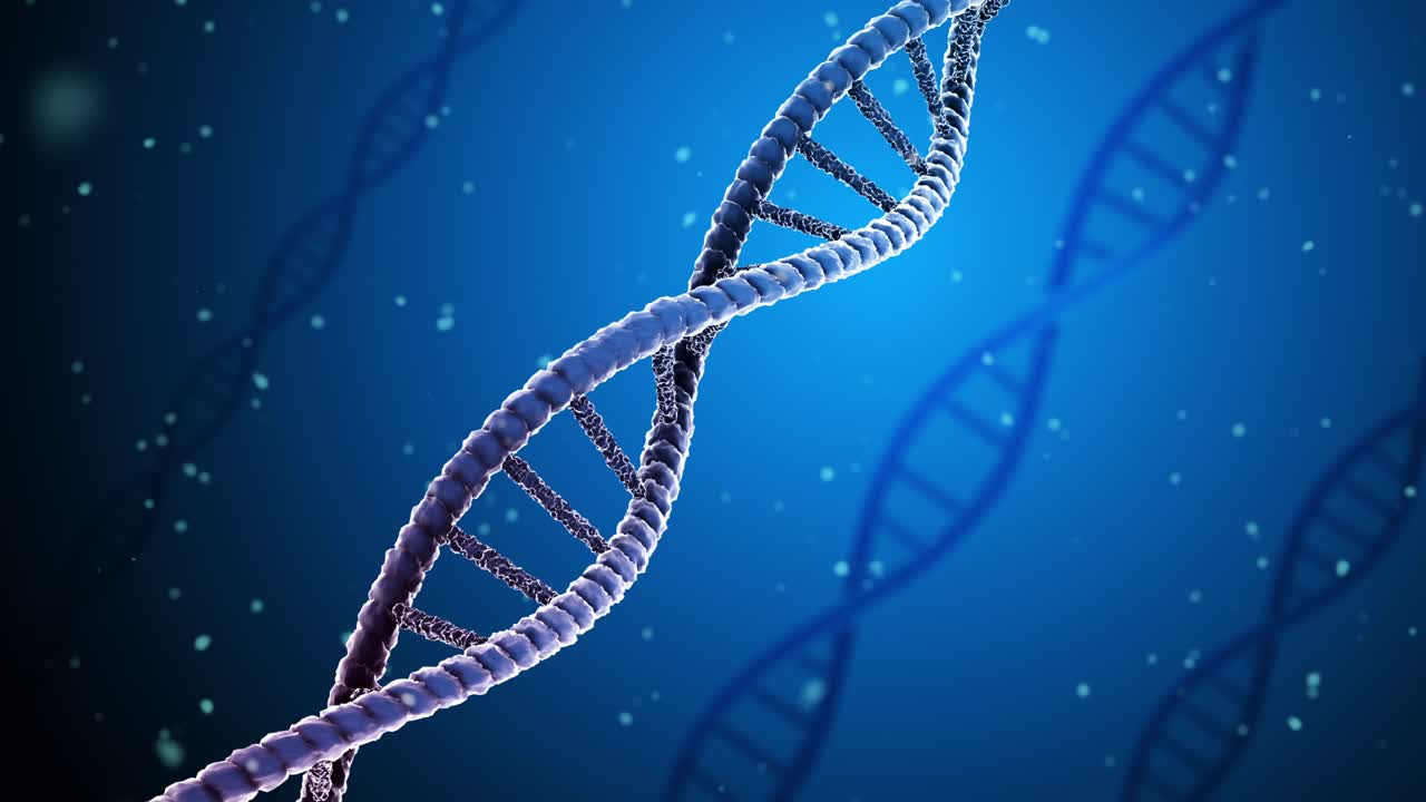 animación 3d de adn abstracto en fondo azul. animación de múltiples moléculas de adn o cepas de adn flotando en fondo azul