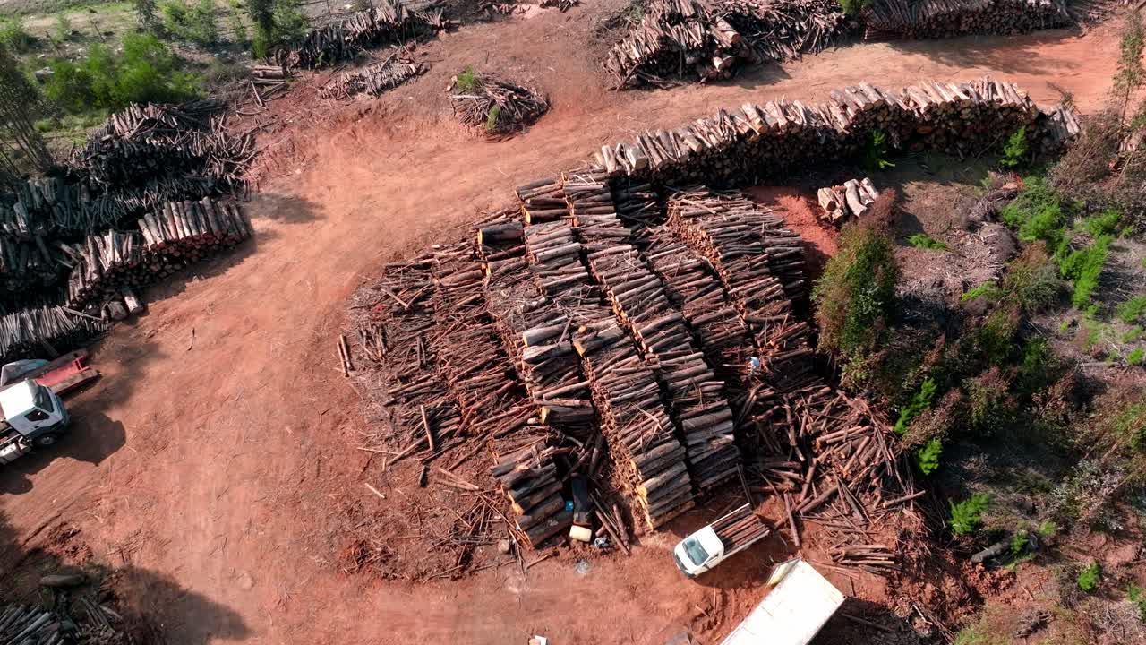 vista de arriba hacia abajo a lo largo de troncos de árboles apilados en un montón en un aserradero