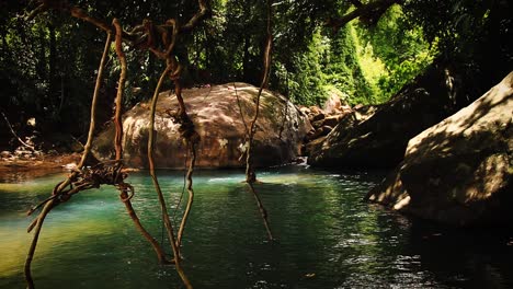 Ein-Mann,-Der-Während-Einer-Pause-Vom-Trekking-In-Einem-Nationalpark-In-Einem-Im-Wald-Versteckten-Teich-Schwimmt