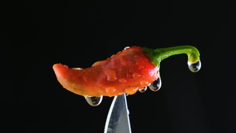 red chili pepper close up zoom with water splashing on a black background