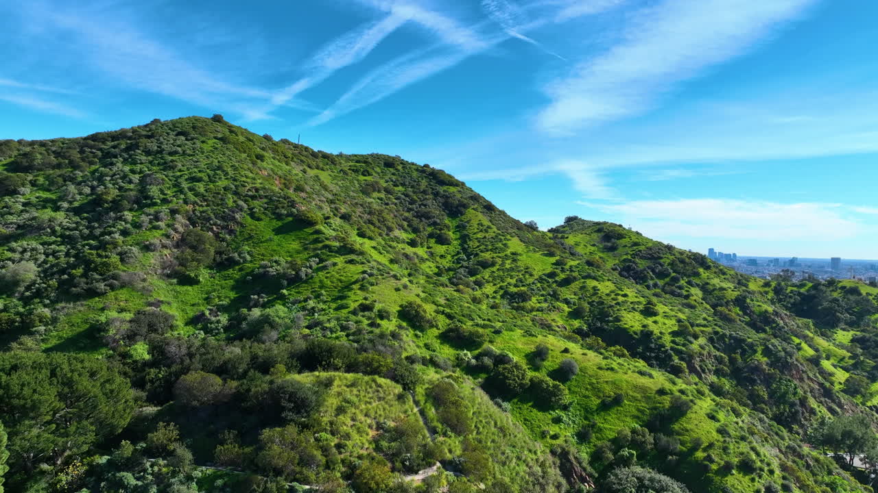 Vista aerea sulle lussureggianti colline di Hollywood, giornata di sole a Los Angeles.