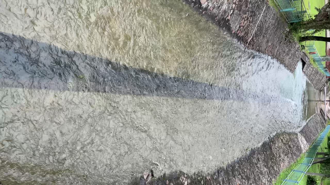 вертикальное видео - быстро текущая чистая вода проходит через бетонный блок в водохранилище макртичи, дренажной и противопаводковой системе в сингапуре