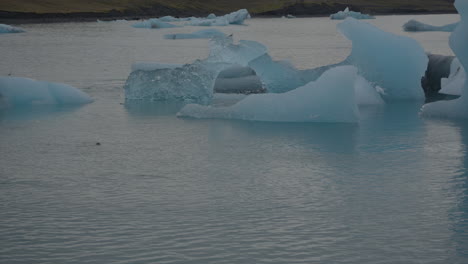 glaciers floating in glacier lagoon, iceland, with seals swimming and popping up in the water, and seagulls flying overhead, moving towards diamond beach