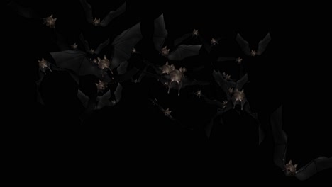 bats flying in the night