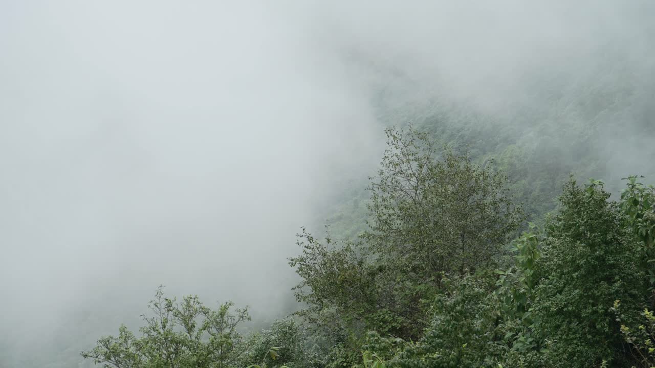 Timelapse of Clouds Moving Through a Valley, Time Lapse of Cloud Rolling Over Trees in the Rainforest in Tropical Mountains Landscape Scenery in Nepal, Background with Copy Space