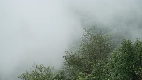 timelapse of clouds moving through a valley, time lapse of cloud rolling over trees in the rainforest in tropical mountains landscape scenery in nepal, background with copy space