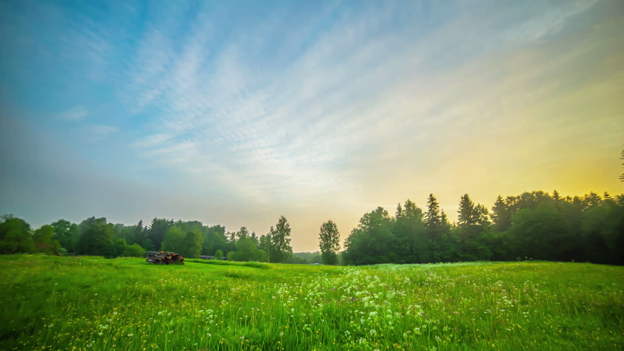 아침부터 저녁까지 푸른 초원을 따라 활짝 핀 야생화 위로 구름이 움직이는 저속 촬영