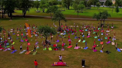 people doing yoga or sports on colored mats in a forest