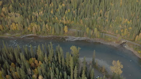 Hermoso-Río-Bowron-Que-Fluye-A-Través-De-Un-Bosque-De-Pinos-Siempre-Verde-En-La-Colombia-Británica,-Aéreo