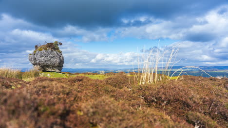 Timelapse-of-rural-nature-farmland-with-sheep-lying-in-the-shadow-of-ancient-rock-boulder-in-a-bog-field-during-sunny-cloudy-day-viewed-from-Carrowkeel-in-county-Sligo-in-Ireland