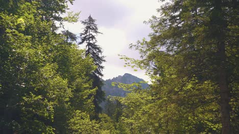 Ruta-De-Senderismo-Turística-Del-Parque-Nacional-De-Las-Montañas-Tatra-Hasta-La-Cima-Del-Pico-Sarnia-Skala-Zakopane,-Polonia