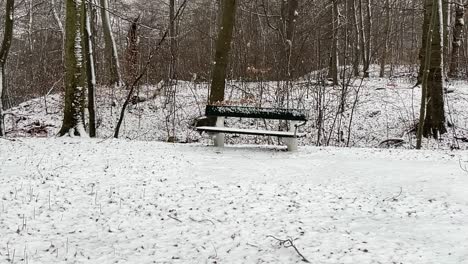 nevando lá fora no banco do parque