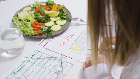 a nutritionist plans a healthy diet for a patient.