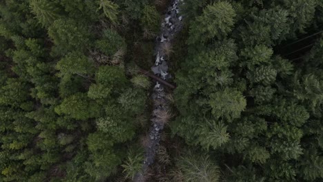 Movimiento-Aéreo-Con-Vista-De-Pájaro-De-Un-Bosque-Y-Un-Arroyo-Debajo-Con-Un-Puente