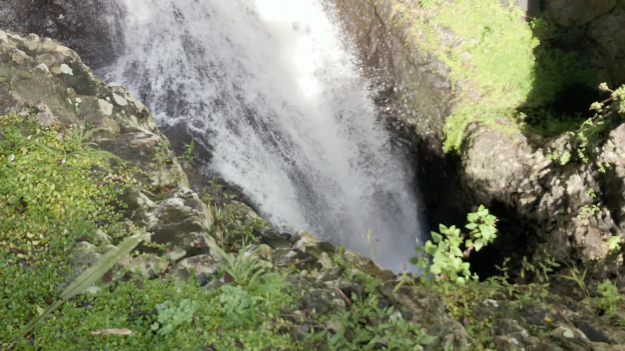 agua que fluye rápidamente, puente natural cascada springbrook, queensland