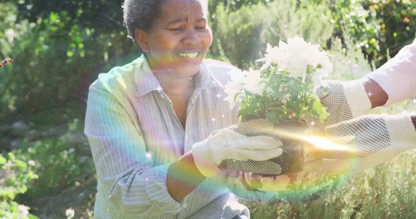 Uomo anziano che porge un vaso di piante a una donna con scintille animate che guidano la piantumazione per un tutorial di giardinaggio