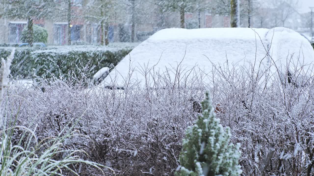 Sneklædt villavej med frostklædte buske og en bil fuldstændig dækket af et tykt lag sne