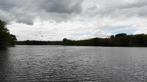 aerial forward shot across chard reservoir somerset england with a bird swooping down on another